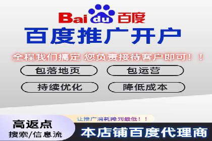 SEM推广在本地化服务中的应用案例